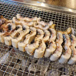 풍천뻘장어 사진