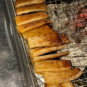 미친고기 사진