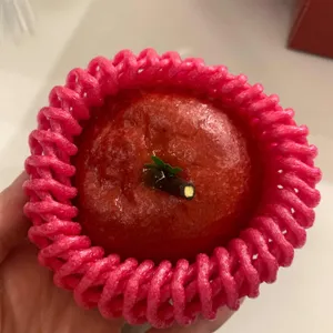 프랑제리 사진