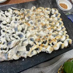 미조갈매기 사진
