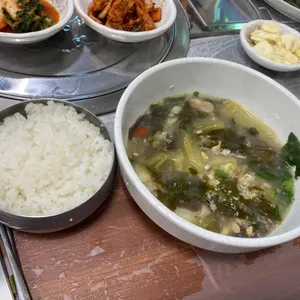 미조갈매기 사진