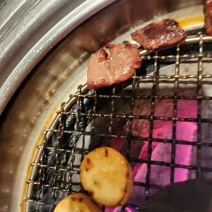 송도갈매기 사진