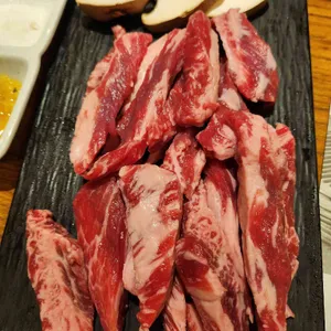 송도갈매기 사진