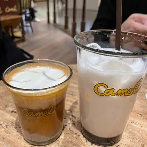 카멜 사진