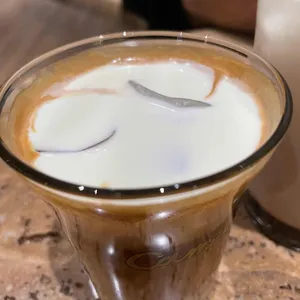 카멜 사진