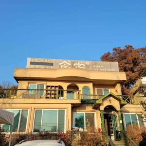 식객 리뷰 사진