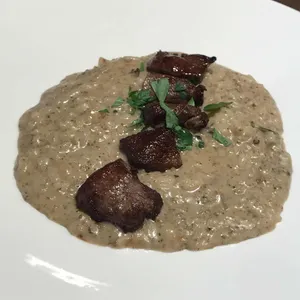 노반타 사진