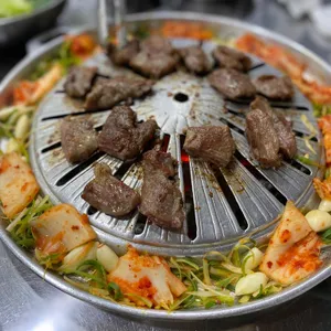 마포 갈매기 사진