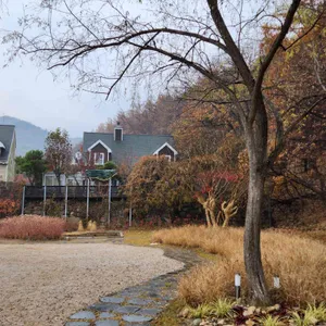 로우드 리뷰 사진