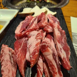 송도갈매기 사진
