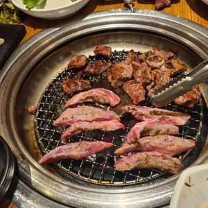 송도갈매기 사진