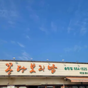 꽁당보리밥 리뷰 사진