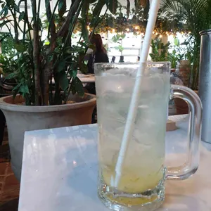 정원 171 리뷰 사진