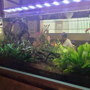 솔솥 리뷰 사진