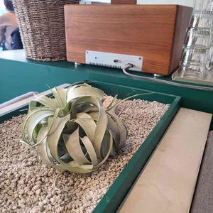 커스텀커피 사진