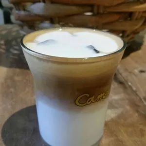 카멜 사진