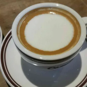 카멜 사진