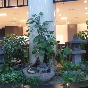 미채원 리뷰 사진