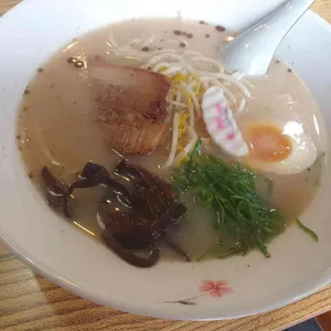 네코짱 사진