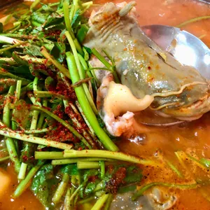 한탄강어부네 사진
