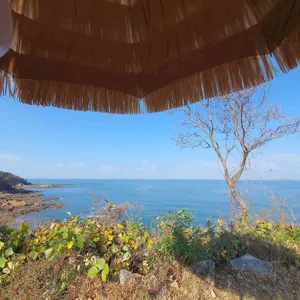 cafe909 리뷰 사진