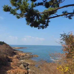 cafe909 리뷰 사진