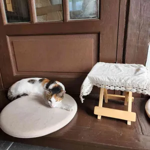 니어앤디어 리뷰 사진