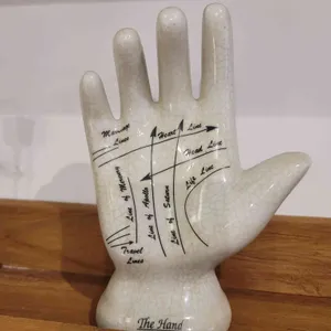 시러피하우스 사진