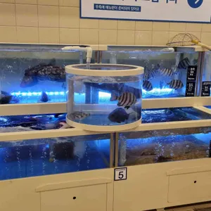 인어교주해적섬 FISH MARKET & LOUNGE 리뷰 사진