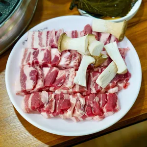 돈가야우가야 사진