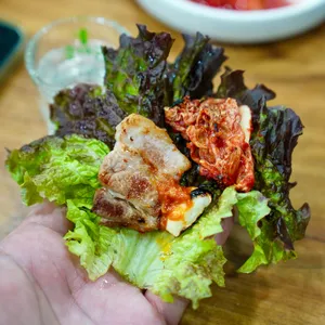 돈가야우가야 사진