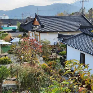 너울집 리뷰 사진