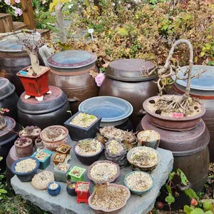 너울집 리뷰 사진