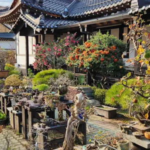 너울집 리뷰 사진