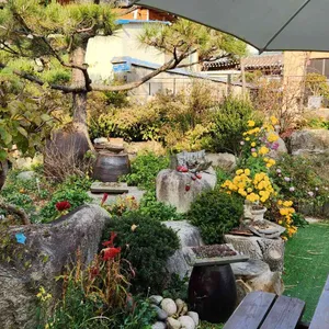 너울집 리뷰 사진