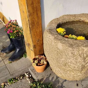 너울집 리뷰 사진