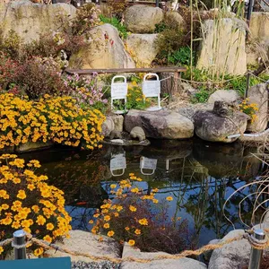 너울집 리뷰 사진