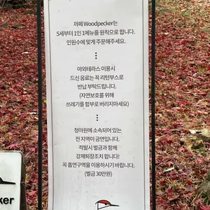 우드페커 리뷰 사진