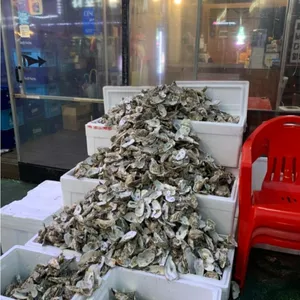 123차 리뷰 사진
