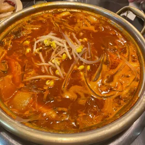 등짝 사진