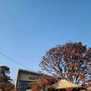 커피가 리뷰 사진