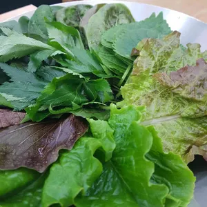 강길도 낙지마을 사진