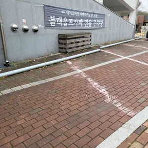 블랙울프  리뷰 사진