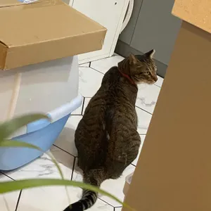 데이데이카페 리뷰 사진