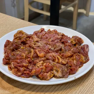부산갈매기 사진