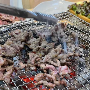 부산갈매기 사진