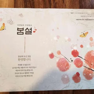 봄설 리뷰 사진