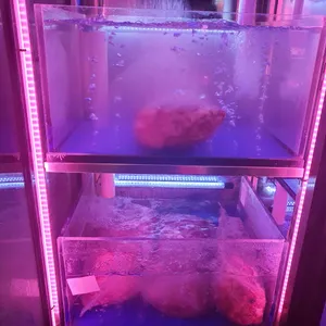 인생한우 리뷰 사진