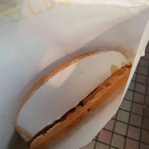 와플대학 사진