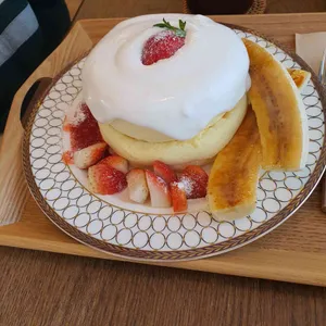 사계 사진